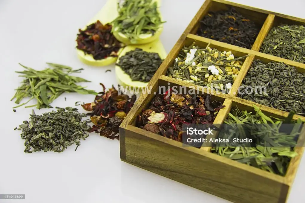 南京桑拿按摩, 体验分享, 心得总结