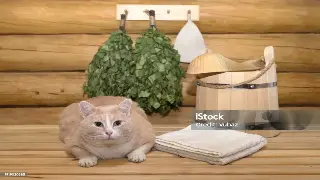 南京桑拿体验之旅：深度揭秘，心得总结与文化思考 图片