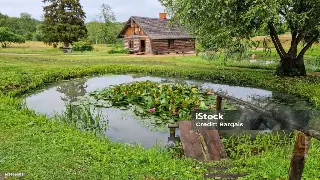 南京按摩名店探秘：顶级技艺与舒适体验全解析 图片