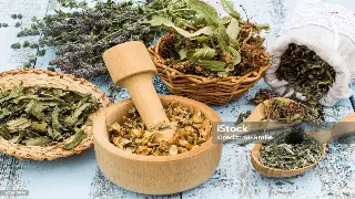 探秘南京桑拿文化：从古老传统到现代放松的演变之旅