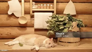 南京按摩名店探秘：不止是放松，更是身心和谐的秘密花园！