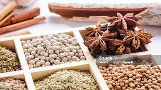 蒸汽氤氲里的千年智慧：探秘桑拿浴的文化溯源与养生之道